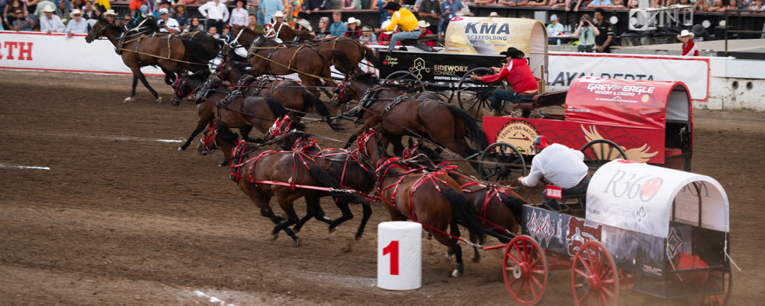 The Calgary Stampede Canvas Auction: The Who, What, Wear, When, and Why.
