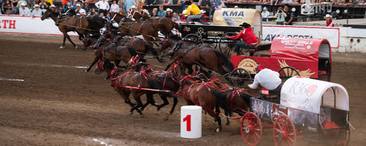 The Calgary Stampede Canvas Auction: The Who, What, Wear, When, and Why.