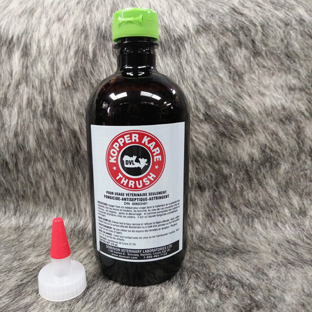Kopper Kare Muguet - 475ML