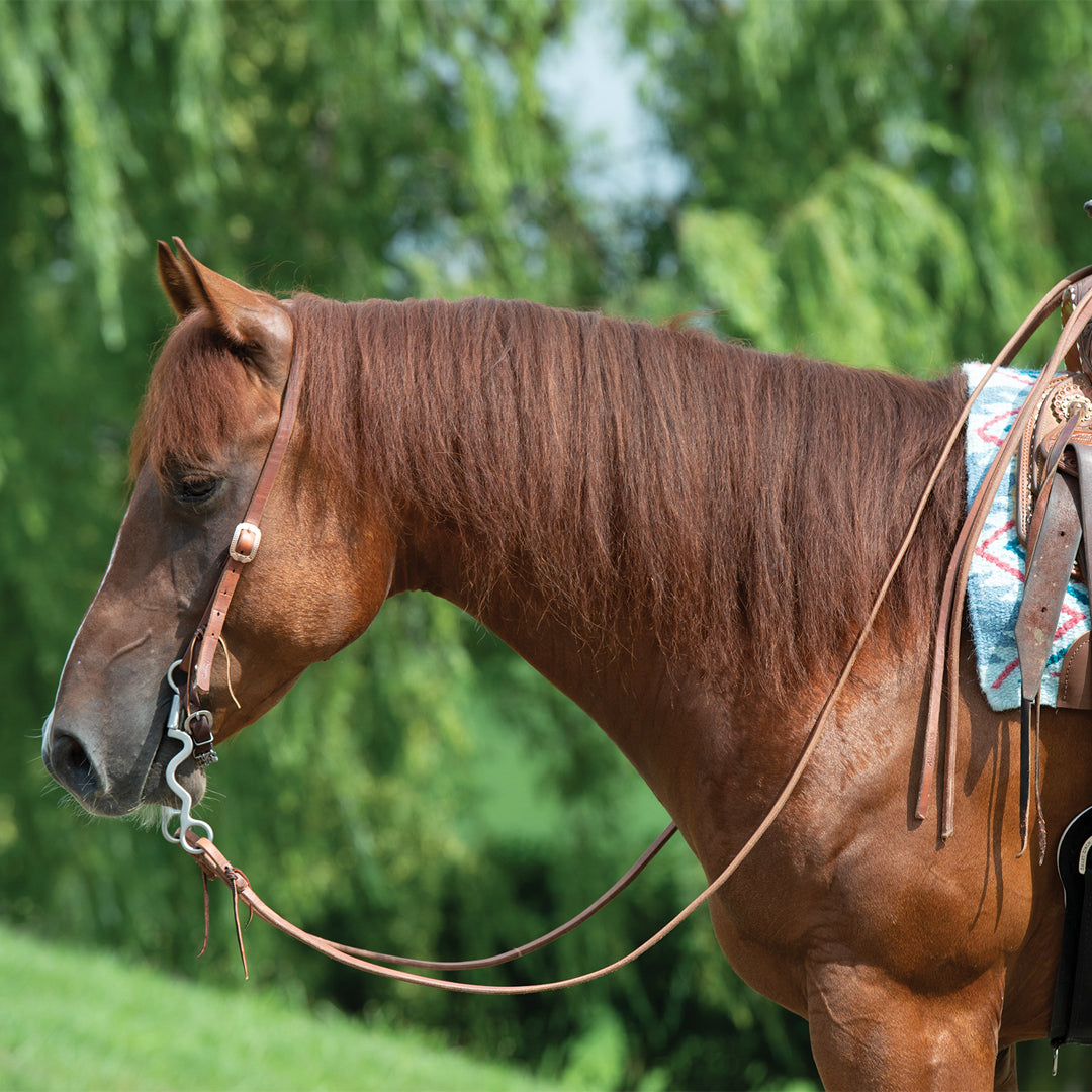 Bride Weaver ProTack avec bouclerie design