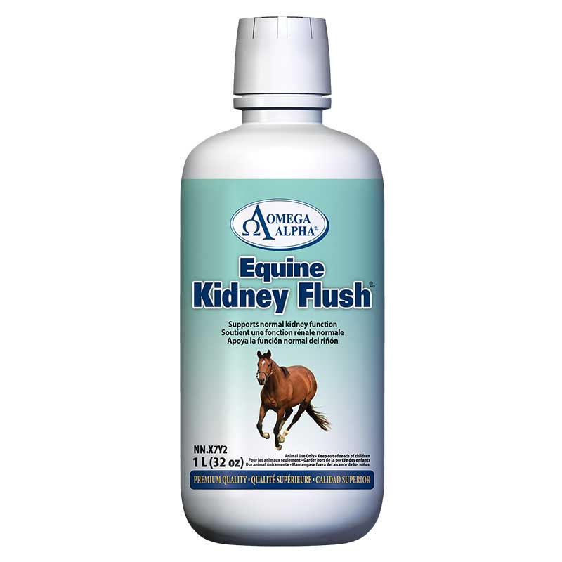 Omega Alpha Equine Kidney Flush