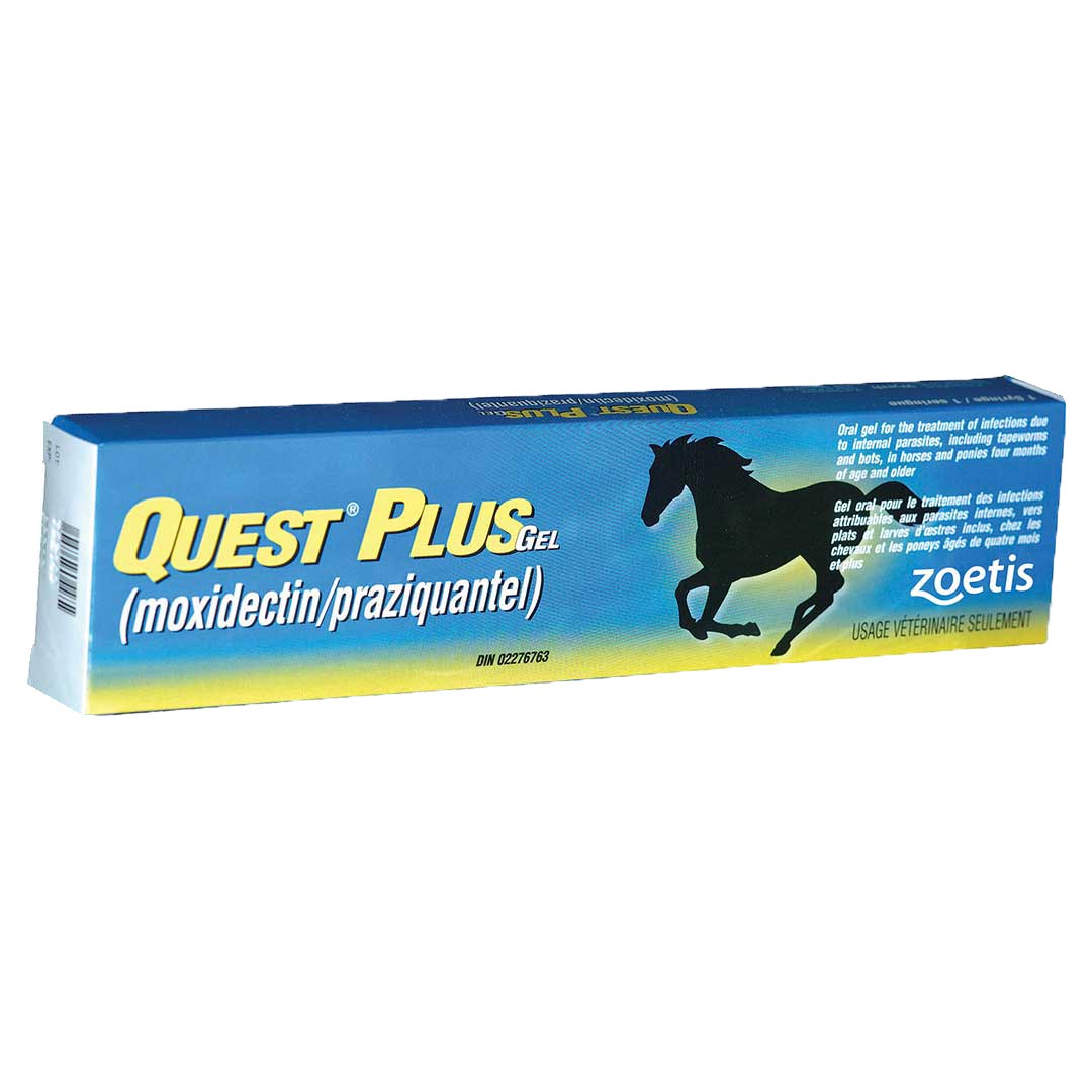 Vermifuge en gel Quest Plus de Zoetis