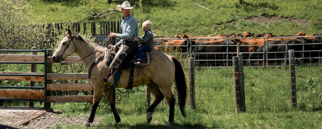 The 2024 Father's Day Gift Guide: Western Style for the Cowboy at Heart