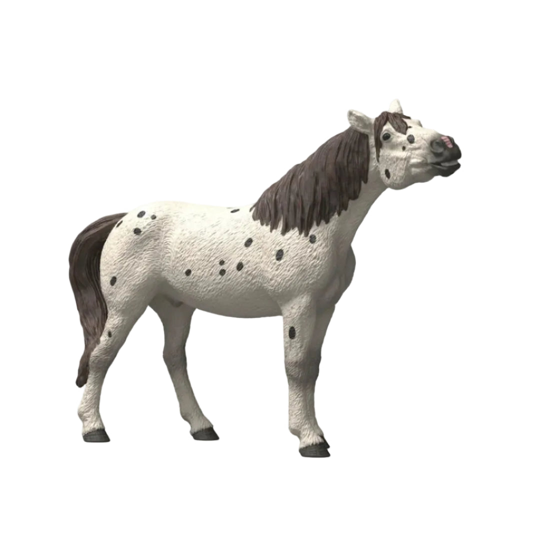 Schleich Clydesdale Knabstrupper Gelding Toy
