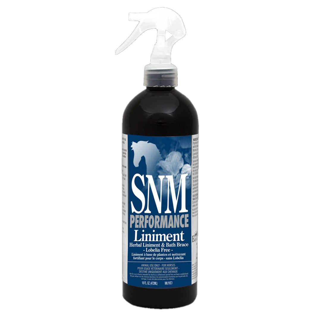 Sore No More Performance Liniment Spray