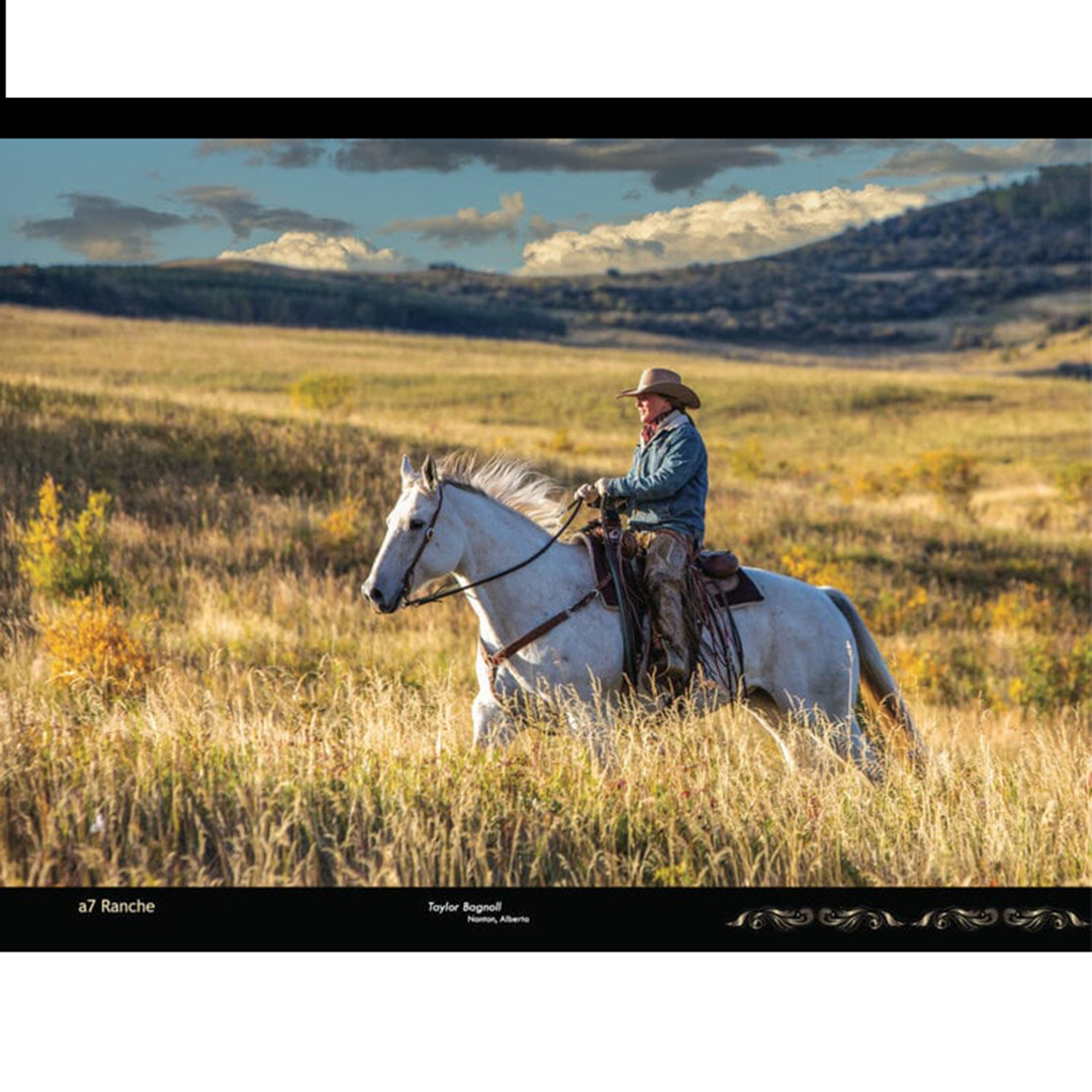 Calendrier mural Kim Taylor Working Ranches of Canada 2026