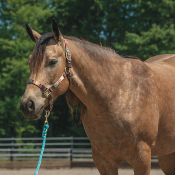 Weaver Patterned Non-Adjustable Halter