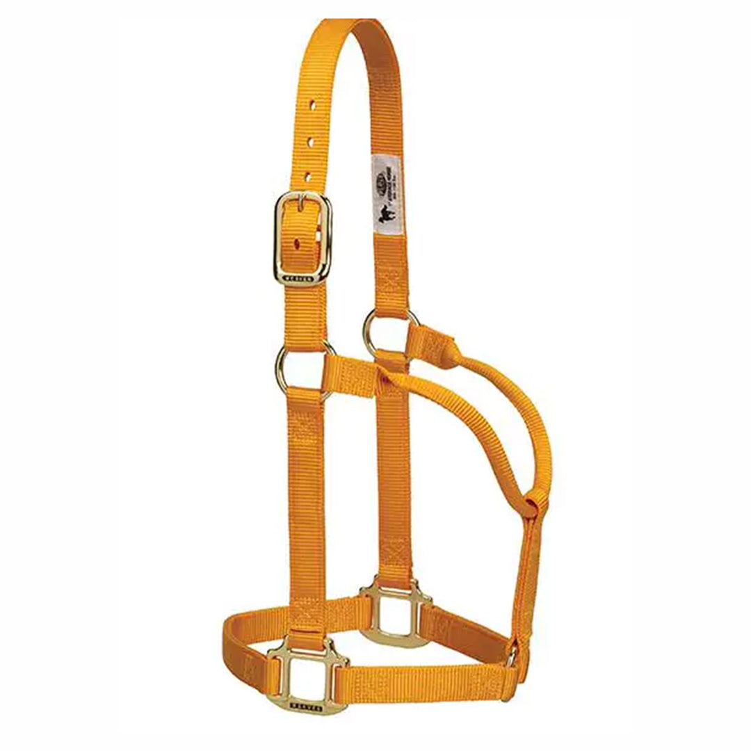 Weaver Original  Non-Adjustable Halter, 1"