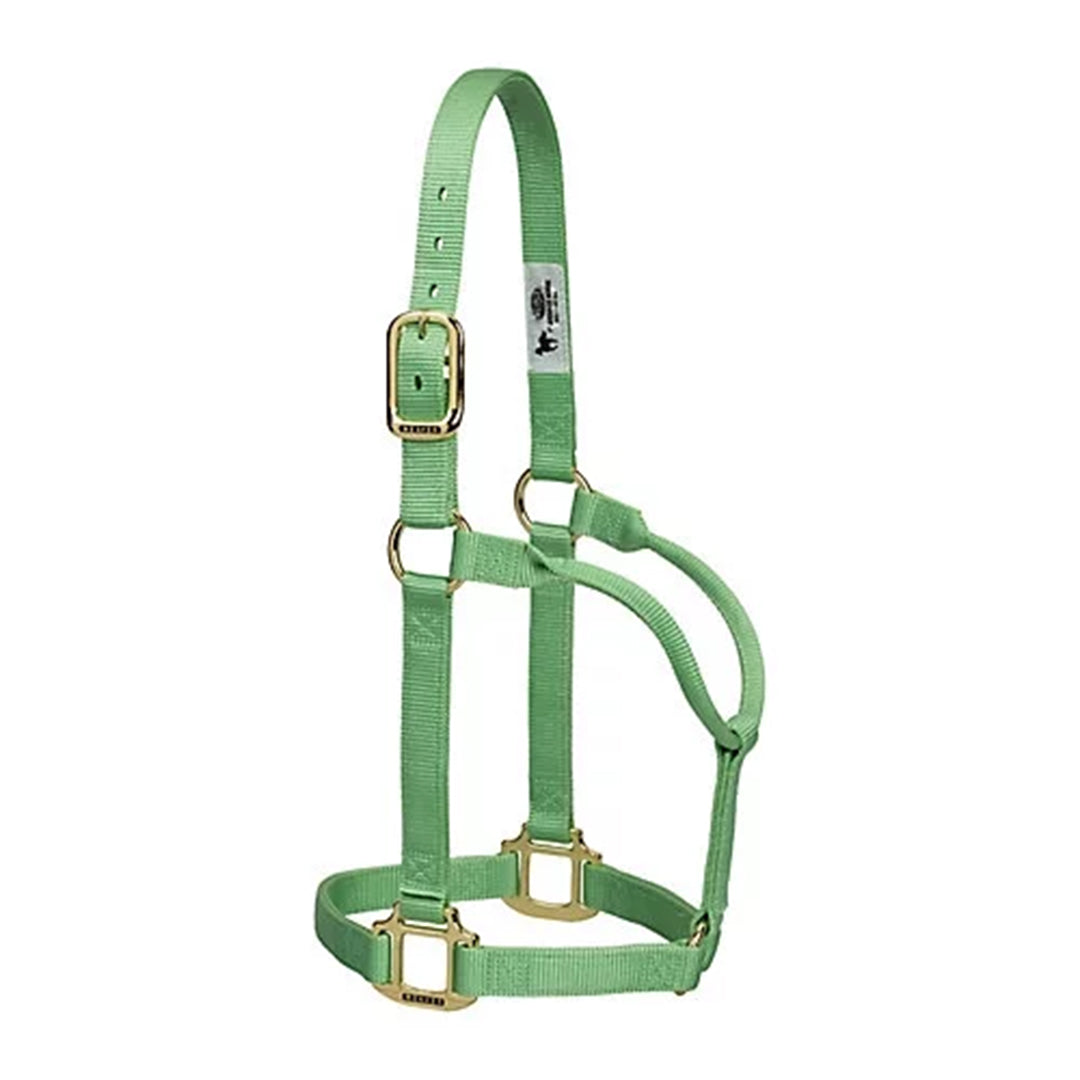 Weaver Original  Non-Adjustable Halter, 1"