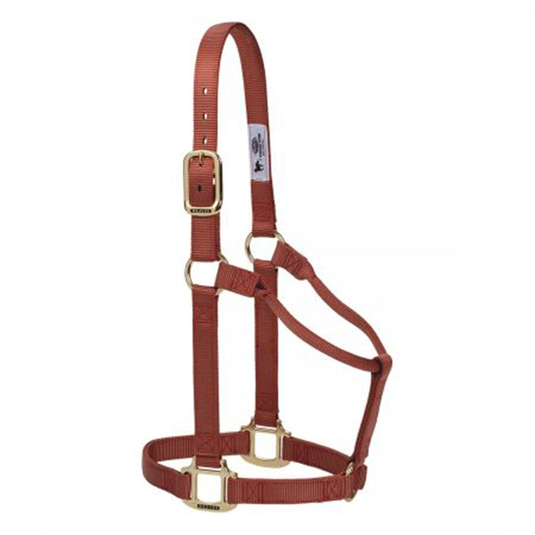 Weaver Original  Non-Adjustable Halter, 1"