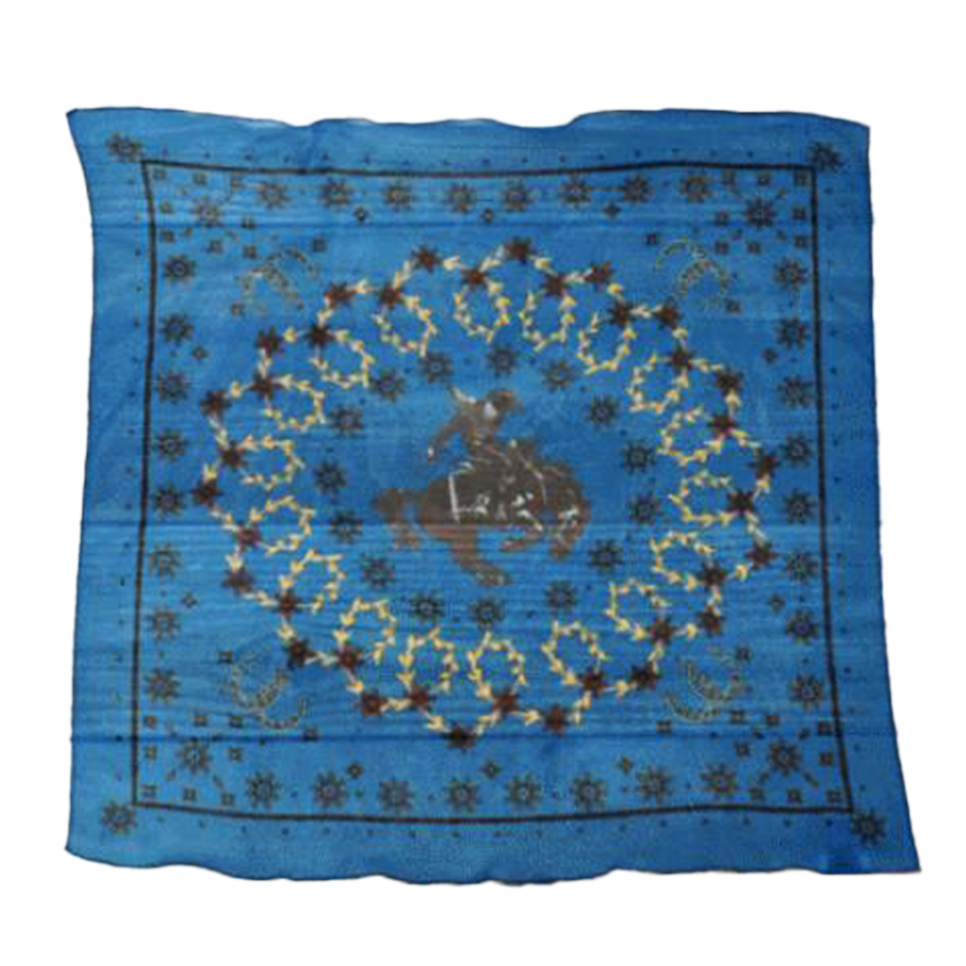 Tasha Polizzi Women's Wynn Scarf
