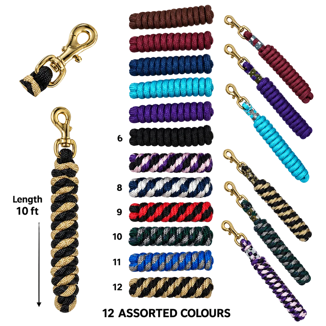 Licol en cuir True North Trading avec conchos