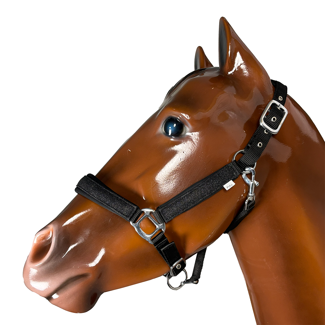 Cowboy Collection Nylon Glitter Halter