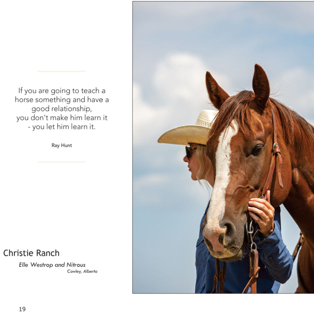 Kim Taylor On The Trail 2026 Day Planner