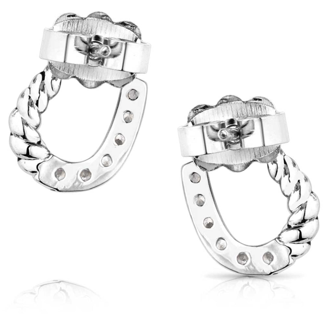 Montana Silversmith Women's Frosted Luck Crystal Earrings