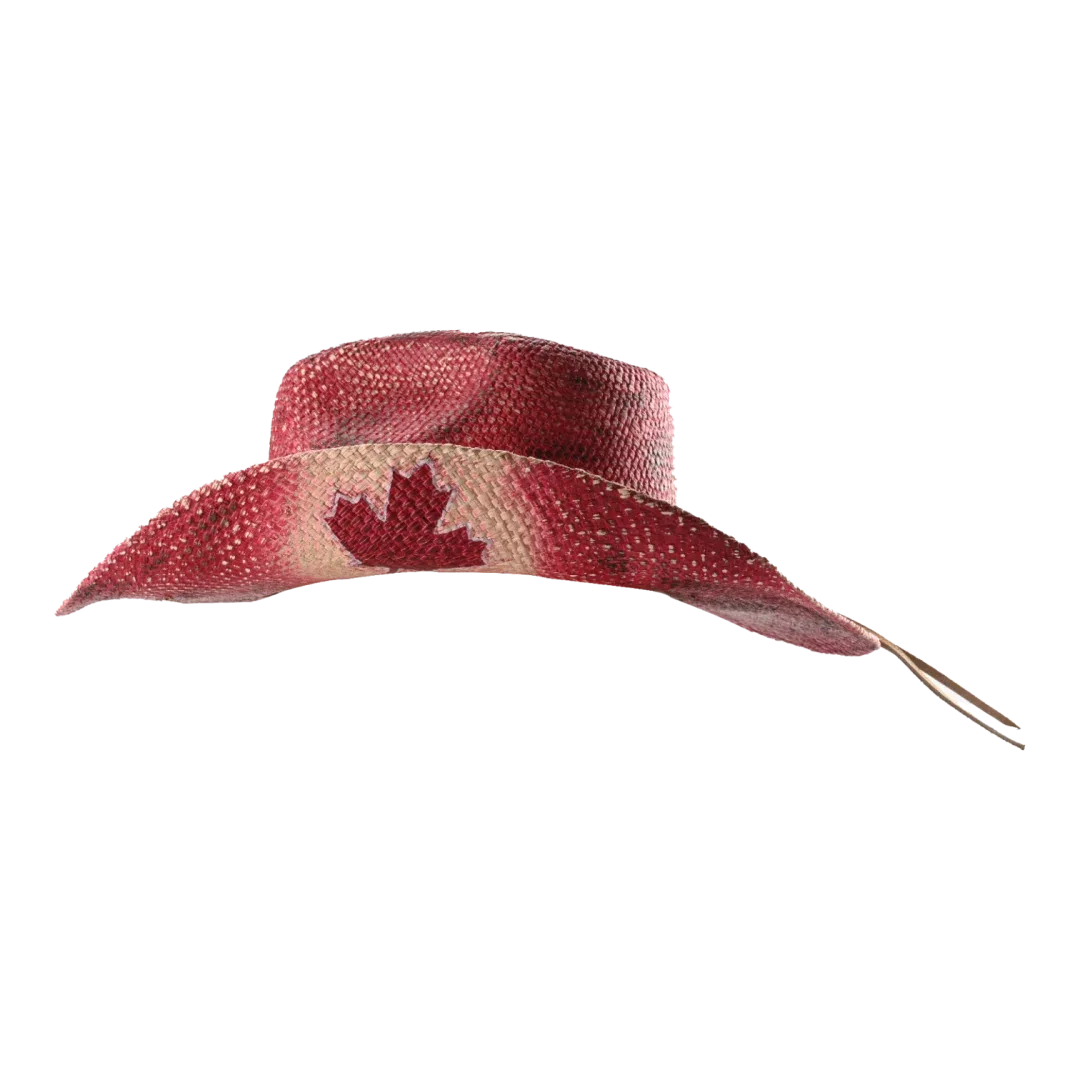 Lucky Horze Unisex Canadian Soul Straw Cowboy Hat