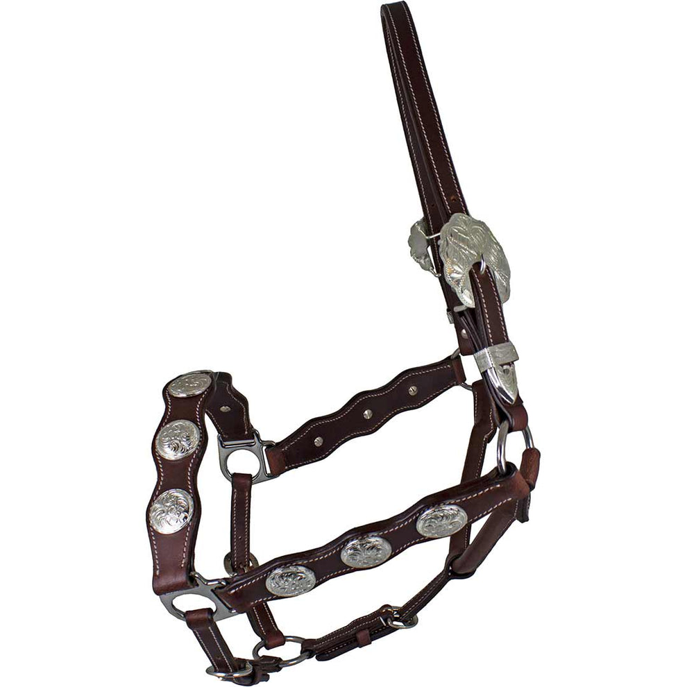 True North Trading Leather with Concho Halter