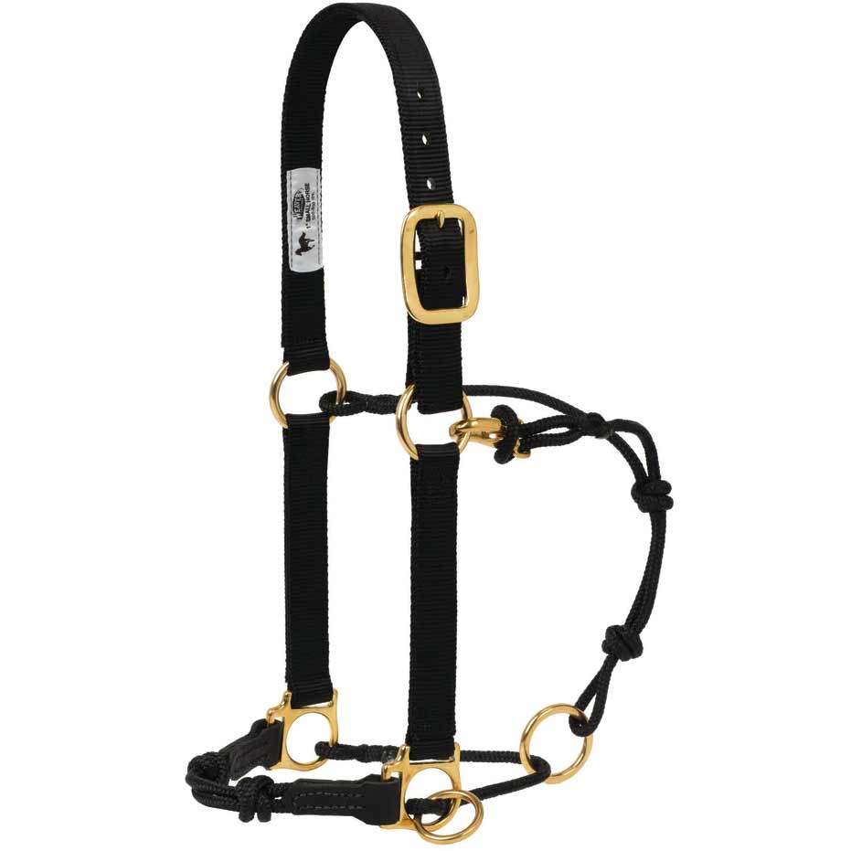 Weaver Horseman's Halter with Side Ring