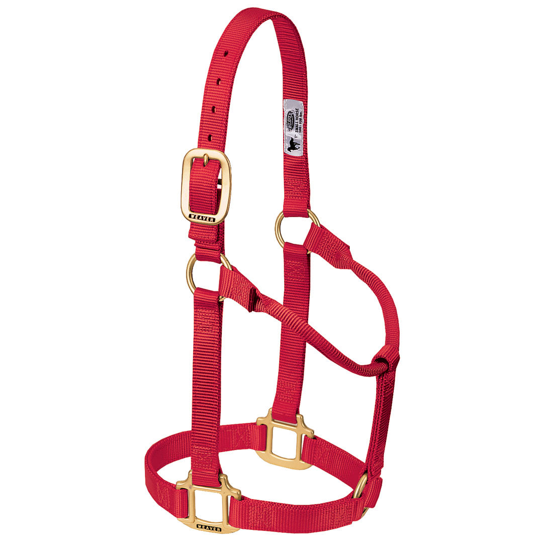 Weaver Original Non-Adjustable 3/4" Pony Halter