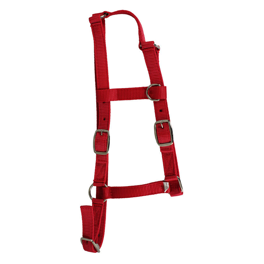 Western Rawhide Nylon Pony Halter