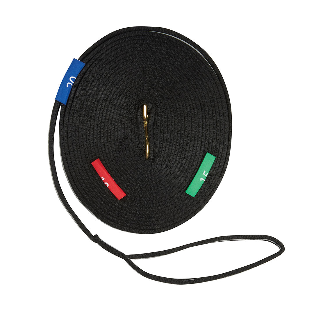 Kincade Lunge Line with Circle Markers