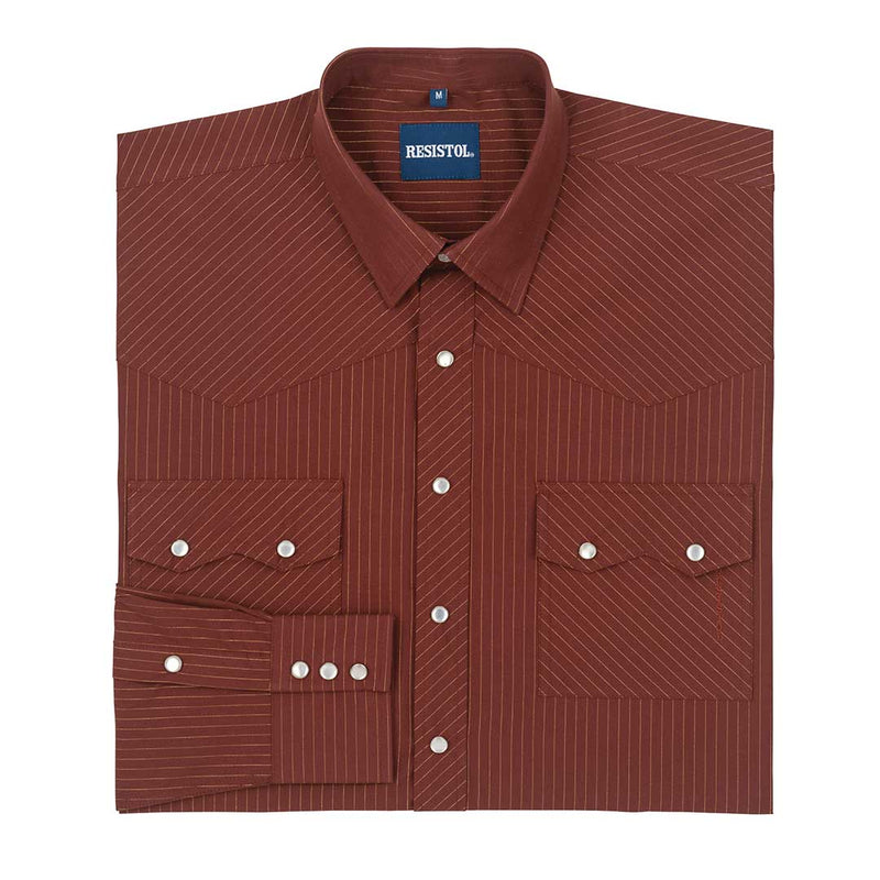 Resistol Boy's Joe Striped Shirt