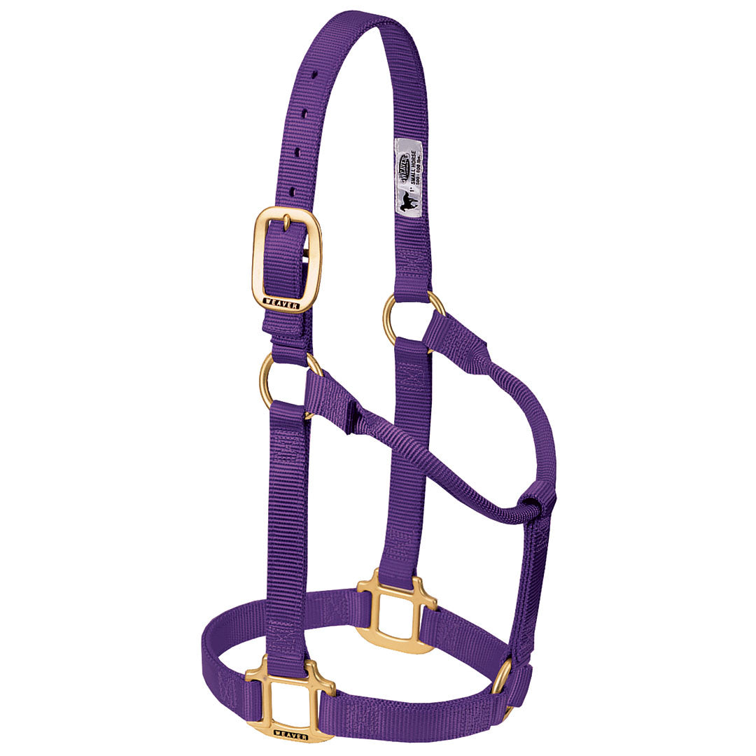 Weaver Original Non-Adjustable 3/4" Pony Halter