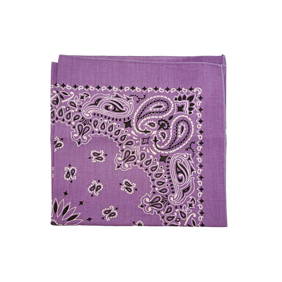 Austin Accent Paisley Print Bandana