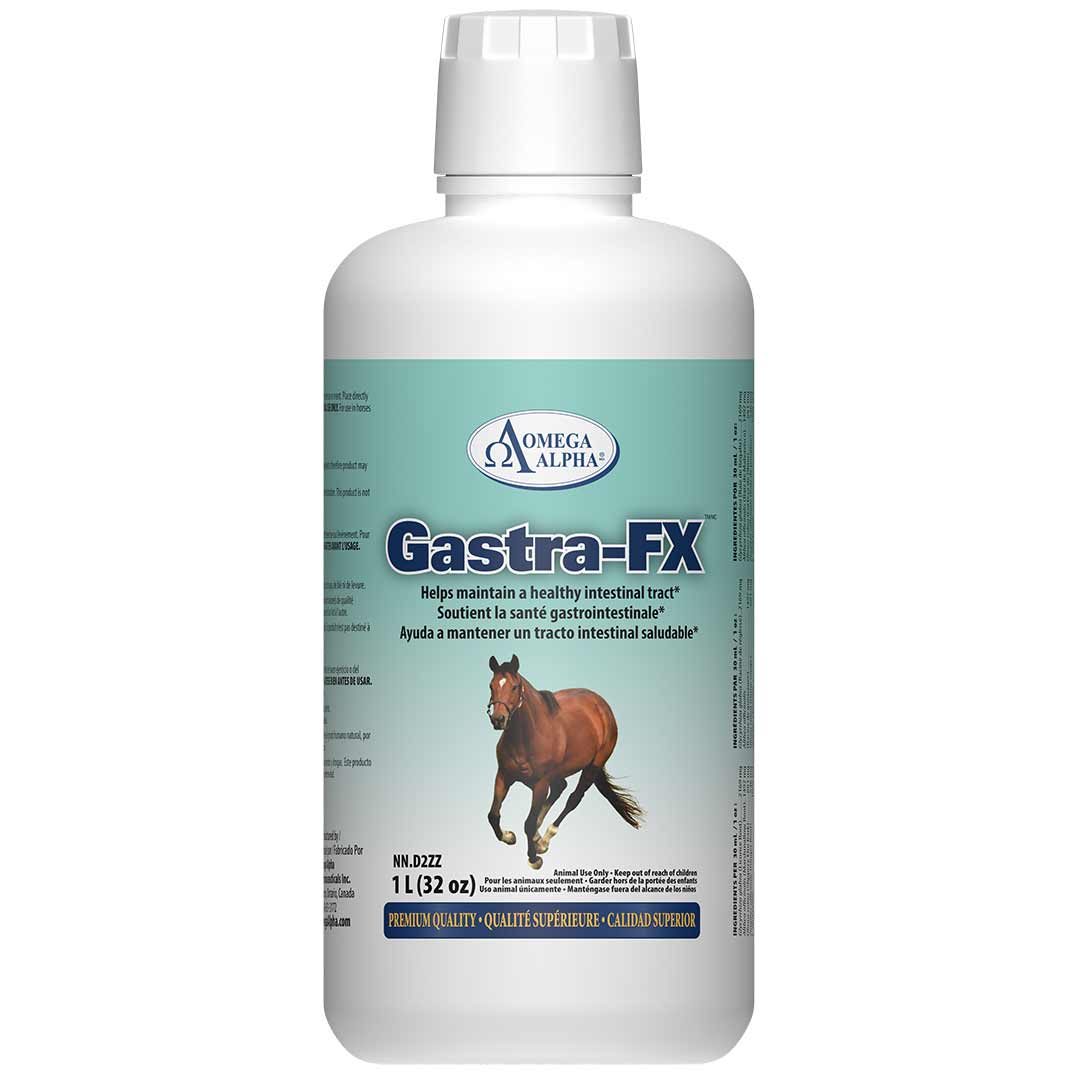 Omega Alpha Gastra-FX