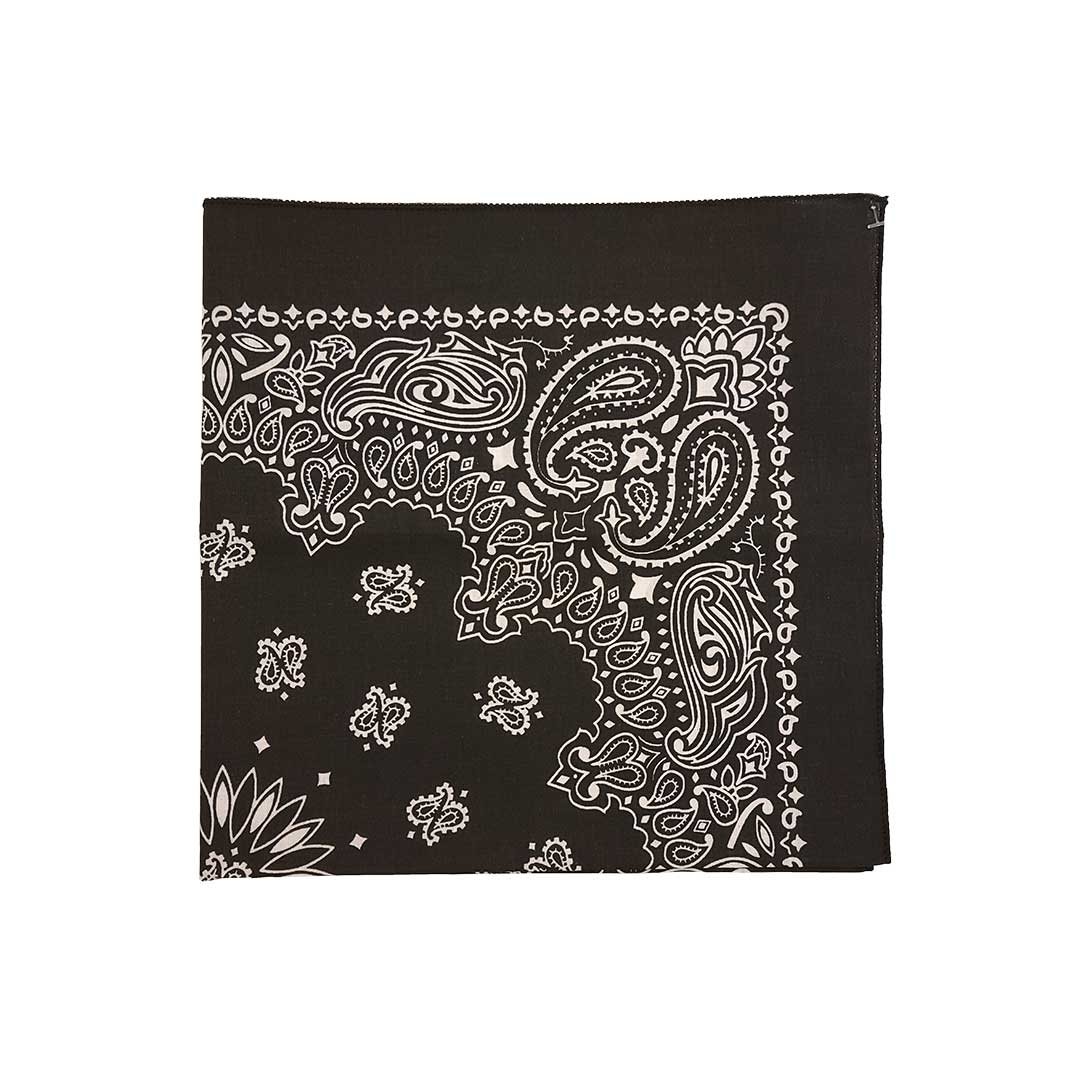 Austin Accent Paisley & Floral Print Bandana