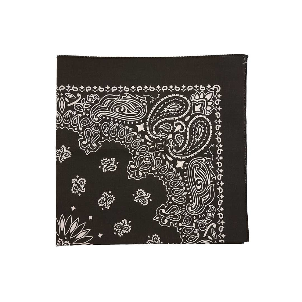 Austin Accent Paisley & Floral Print Bandana
