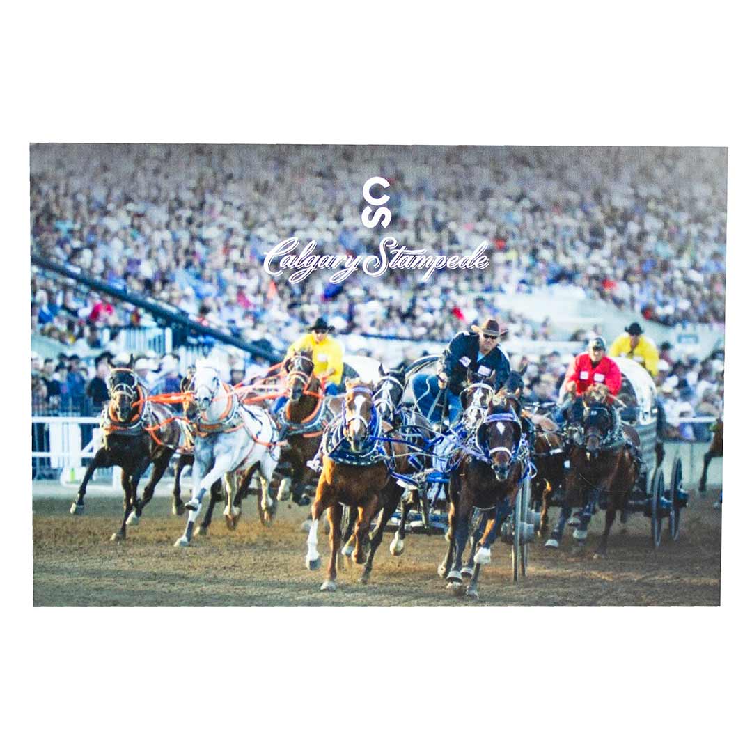 Calgary Stampede Chuckwagon Postcard