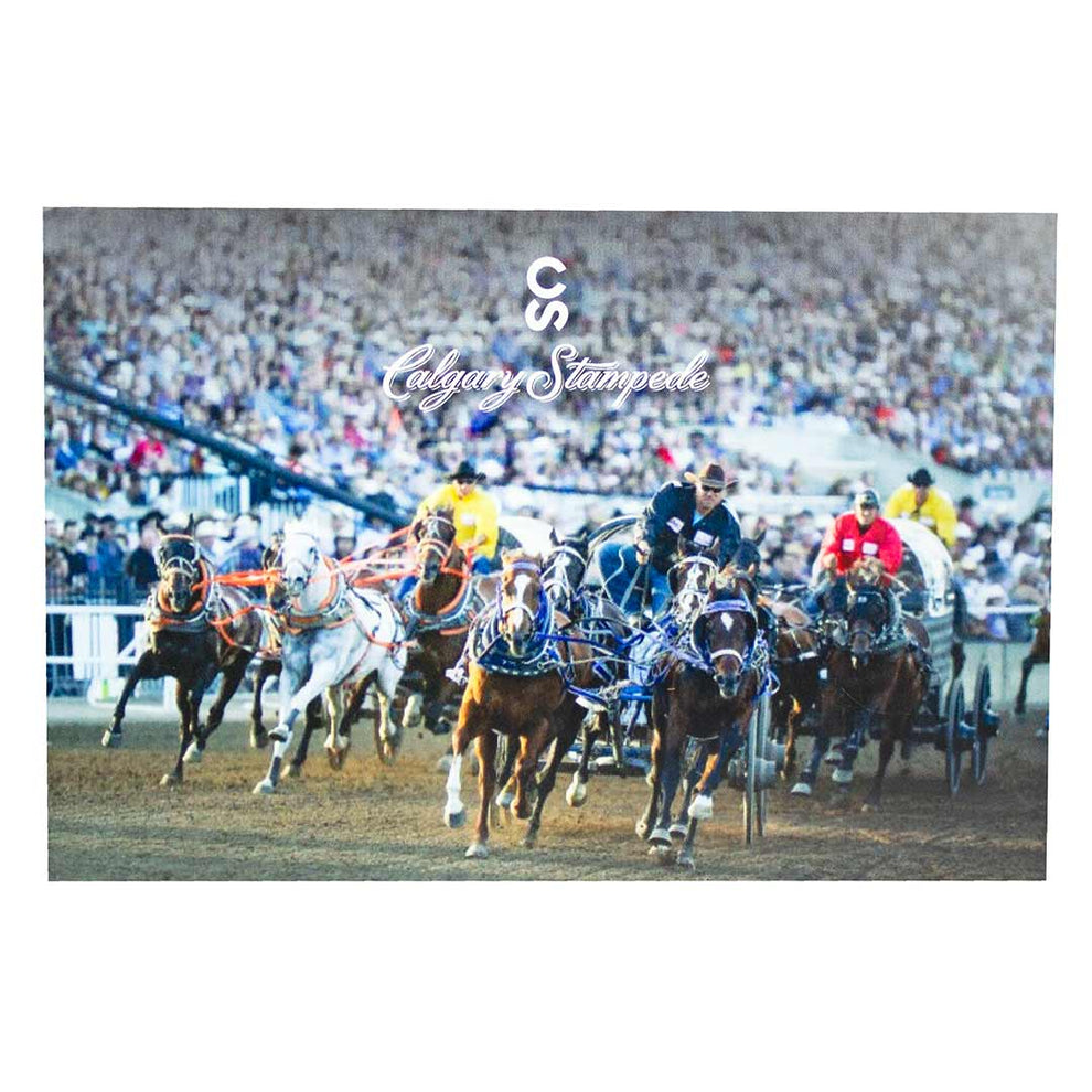 Calgary Stampede Chuckwagon Postcard