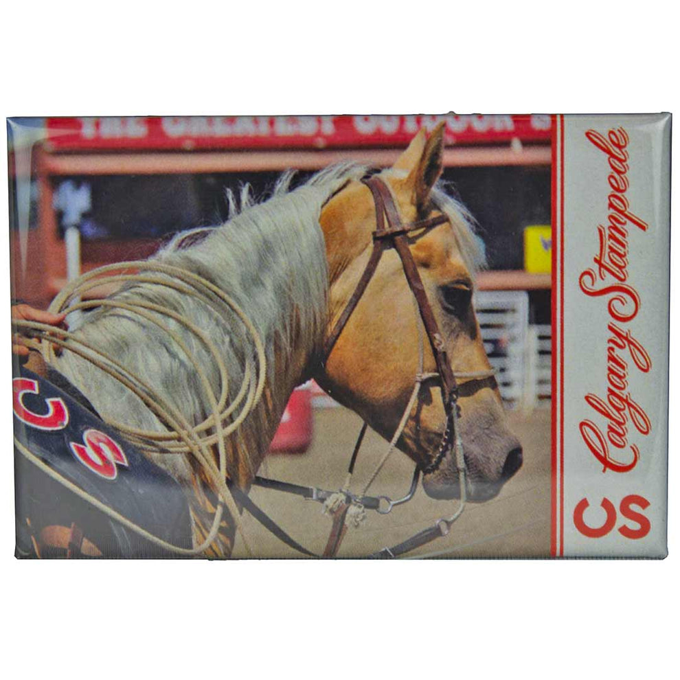 Calgary Stampede Horse Magnet