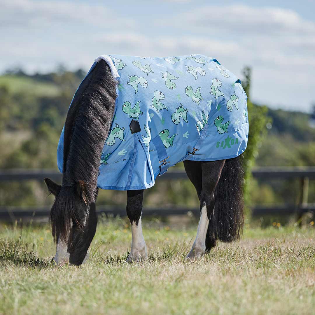 Weatherbeeta Saxon 600D Pony Combo Neck Lite Sheet