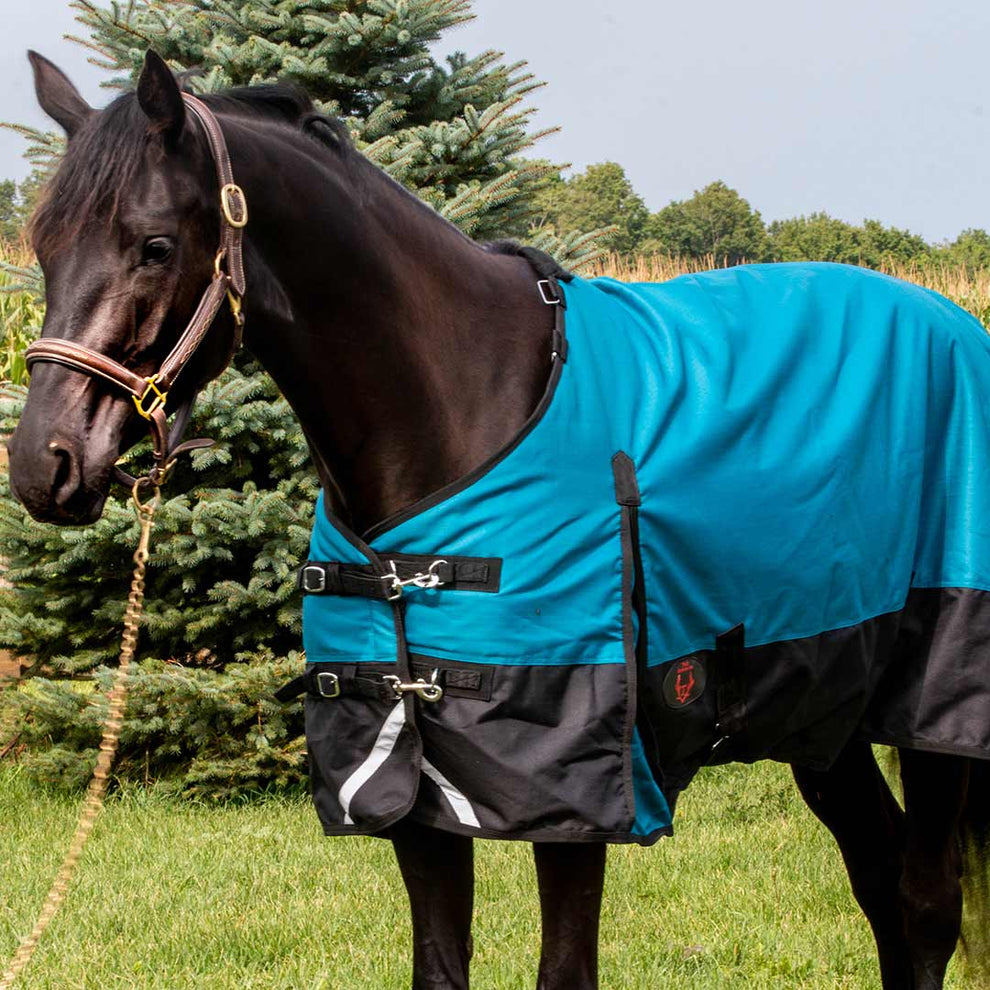 Tech Equestrian Winter Turnout Blanket With Detachable Hood - 220GSM