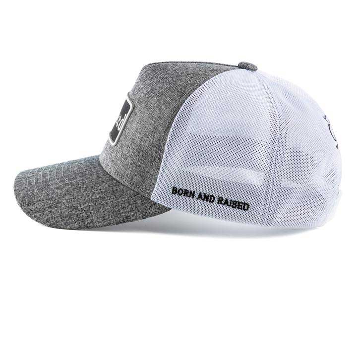 Hayseed Men's Patch Snap Back Cap