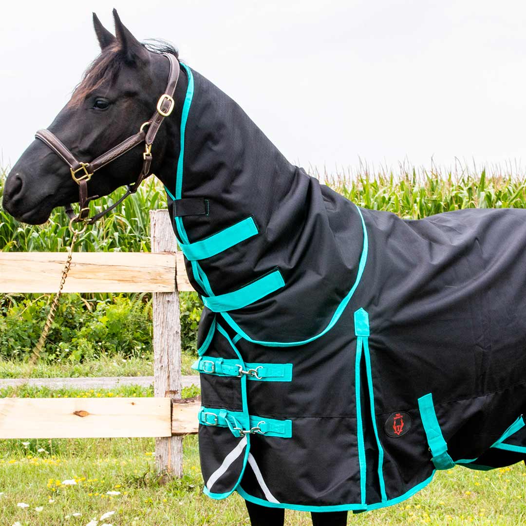 Tech Equestrian Winter Turnout Blanket With Detachable Hood - 350GSM