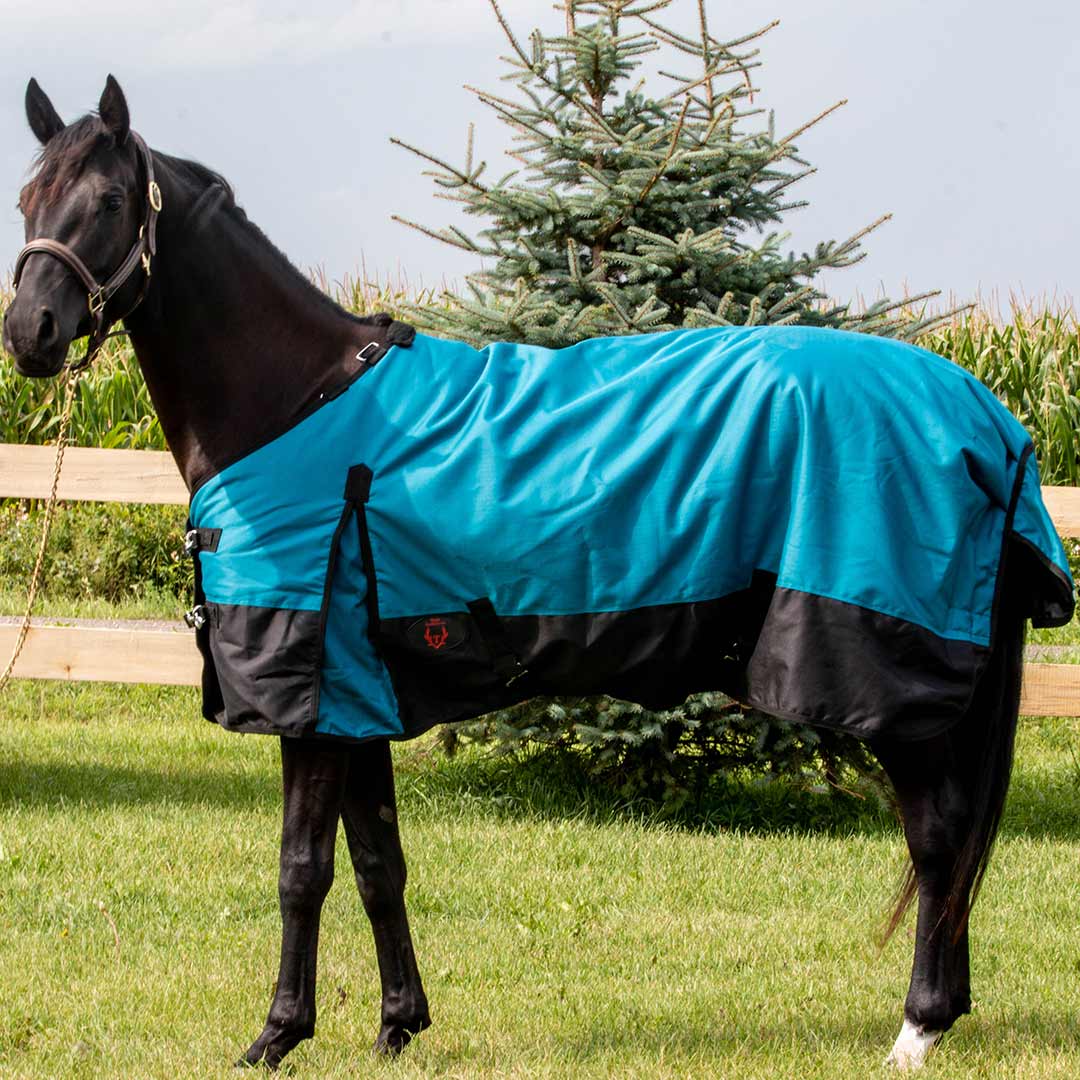 Tech Equestrian Winter Turnout Blanket With Detachable Hood - 220GSM