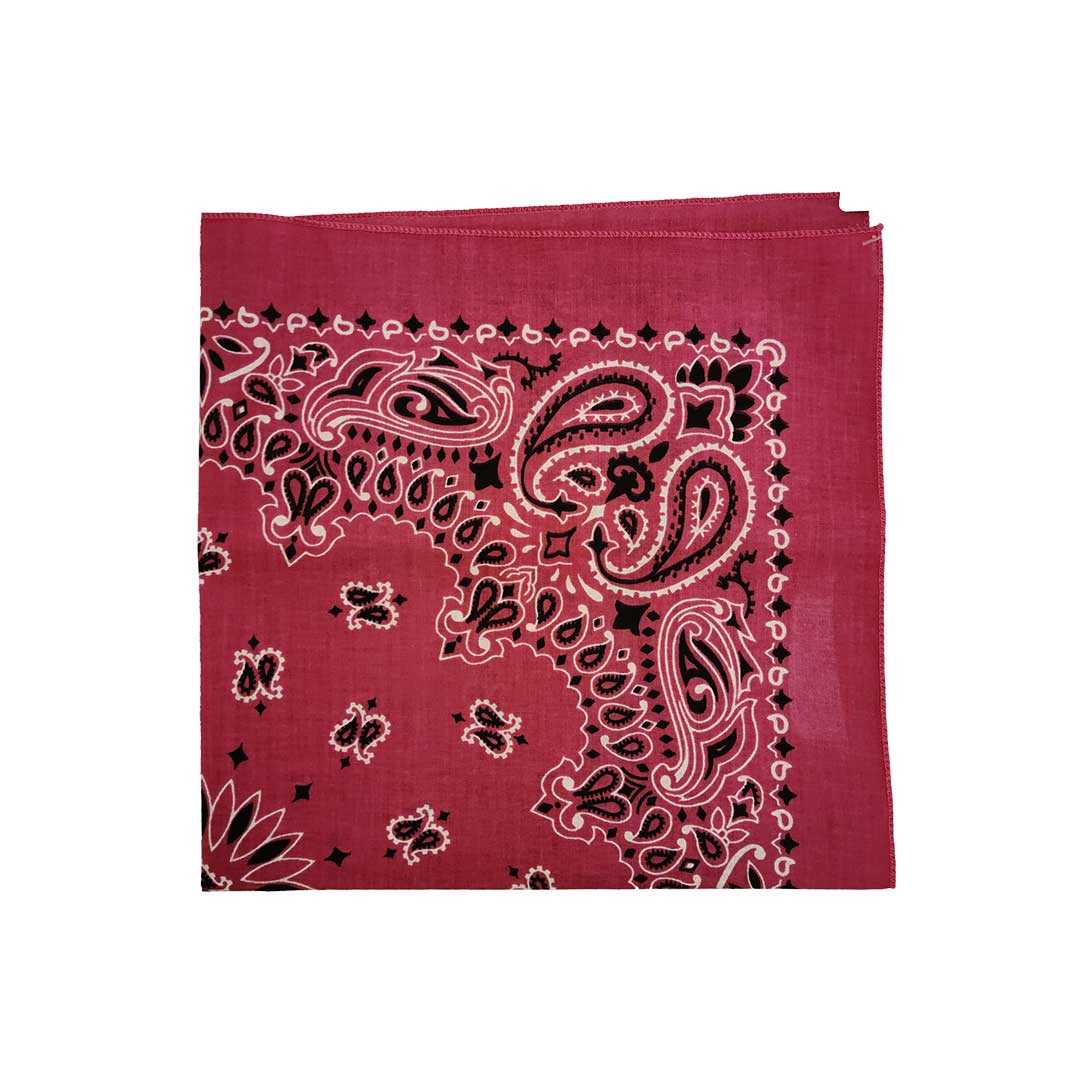 Austin Accent Paisley & Floral Print Bandana