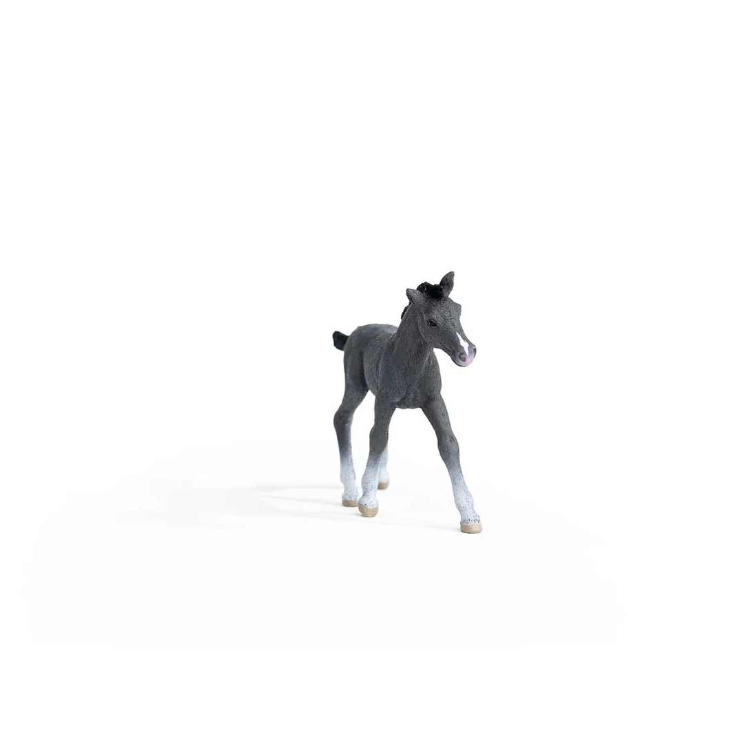 Schleich Trakehner Foal Toy
