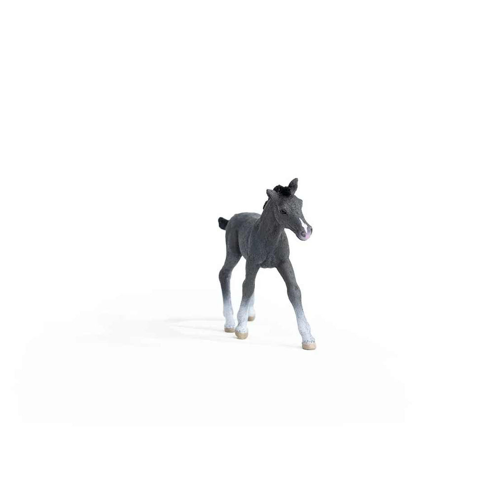 Schleich Trakehner Foal Toy