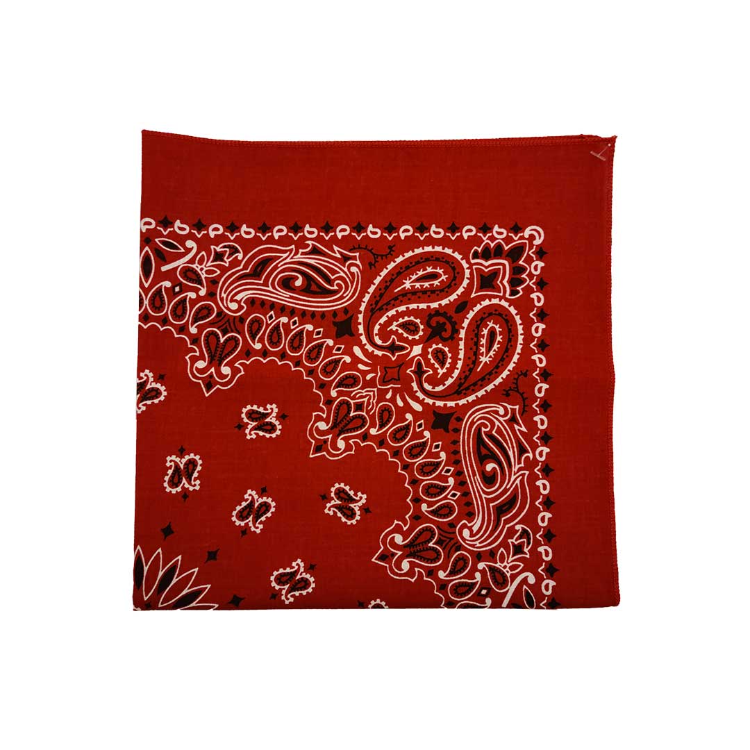 Austin Accent Paisley & Floral Print Bandana