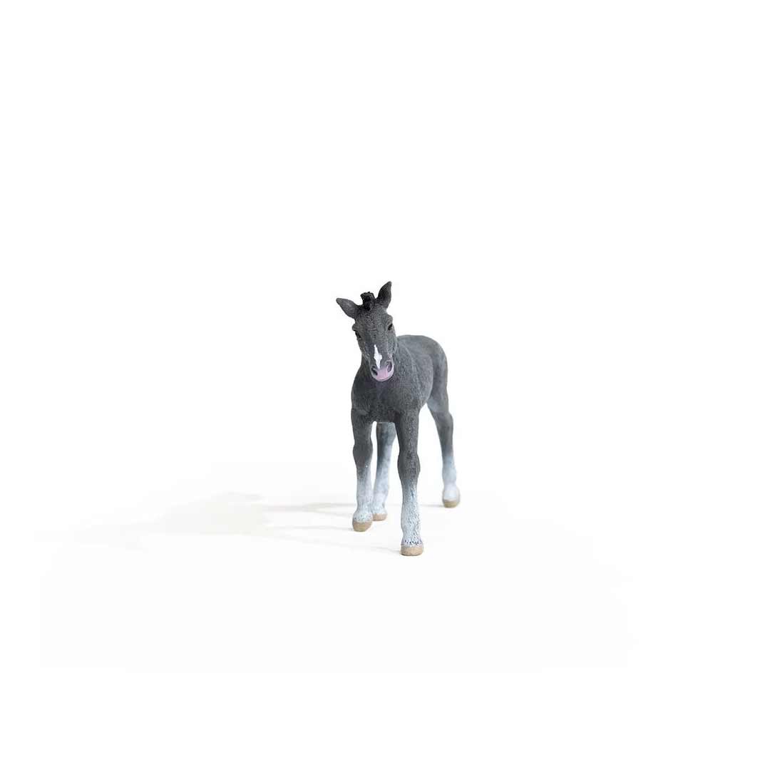 Schleich trakehner best sale foal