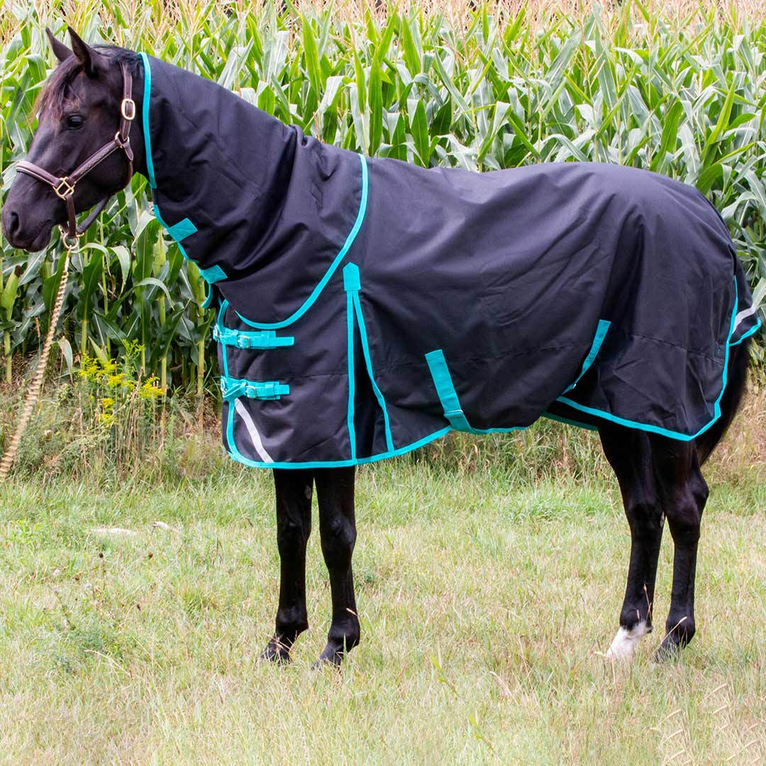 Tech Equestrian Winter Turnout Blanket With Detachable Hood - 350GSM