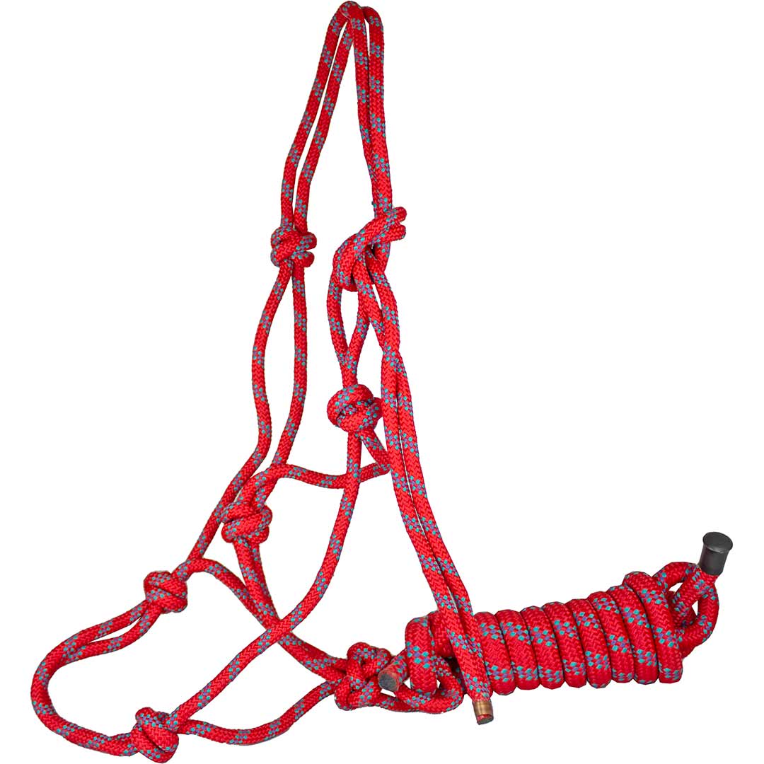 Tech Equestrian Poly Rope Halter with Lead | Lammle's – Lammle's ...