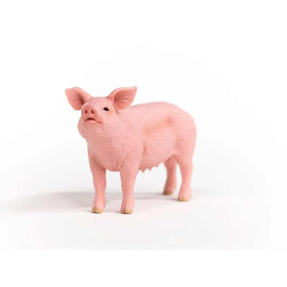 Schleich Kid's Pig Toy