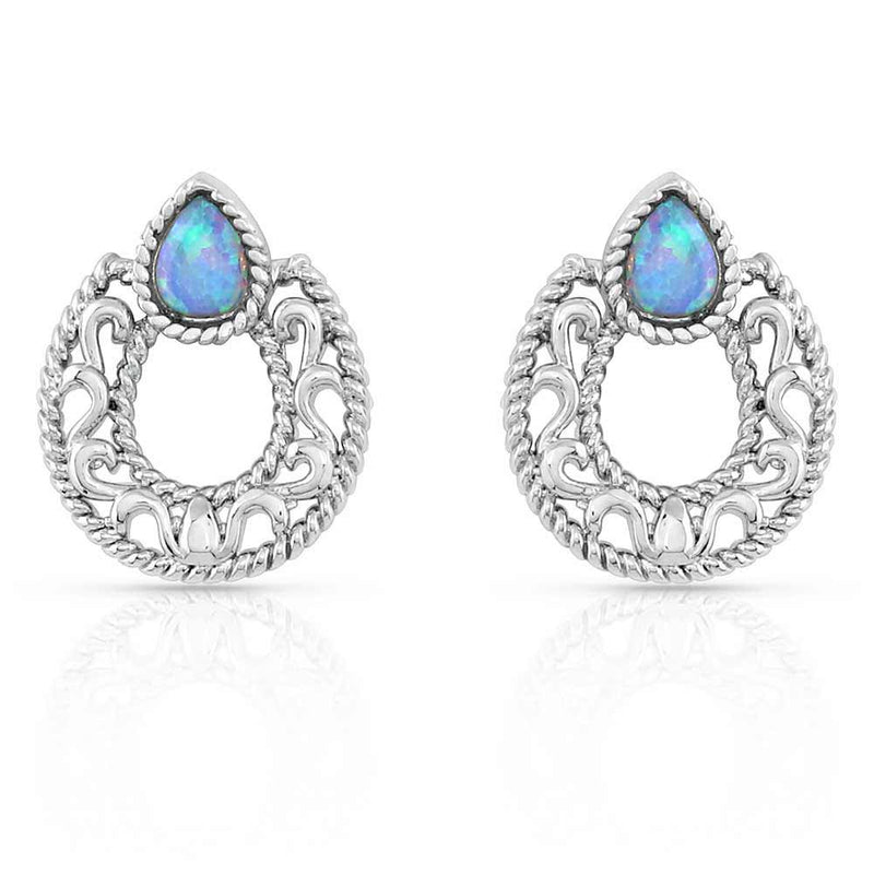 Montana Silversmiths Roped In Horseshoe Earrings