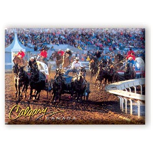 Postcard Souvenirs Calgary Chuckwagon Race Magnet