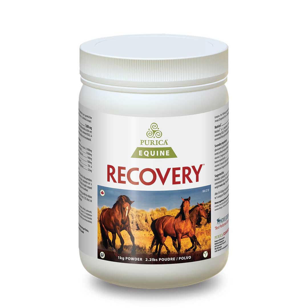 Purica Equine Recovery Regular Strength